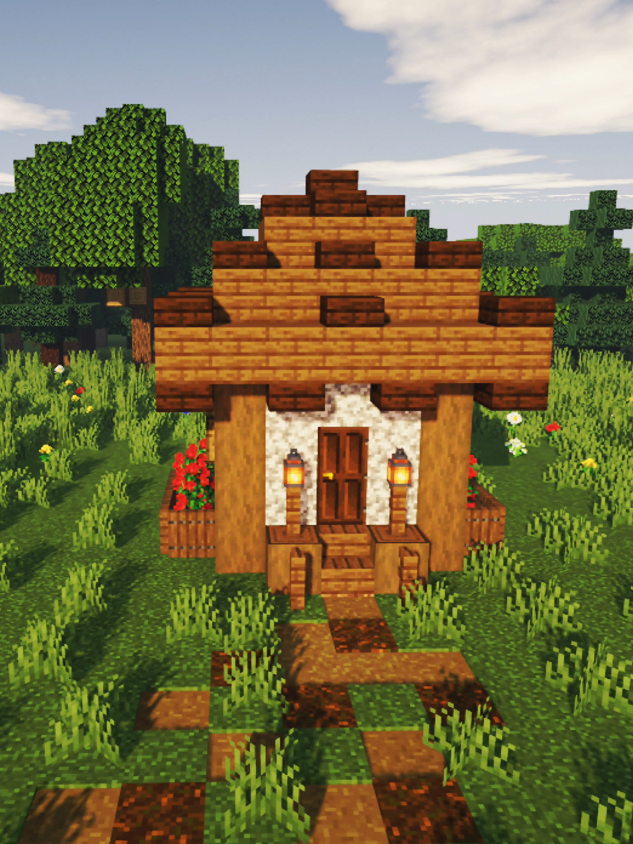 @dudexmiinecraft