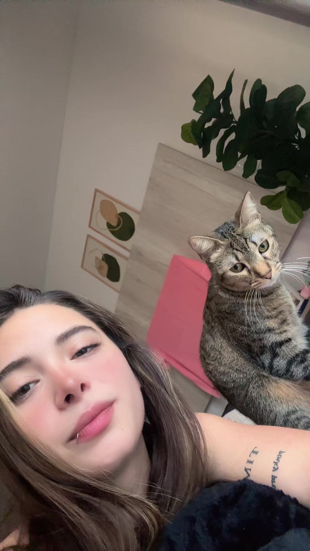 @yuls
