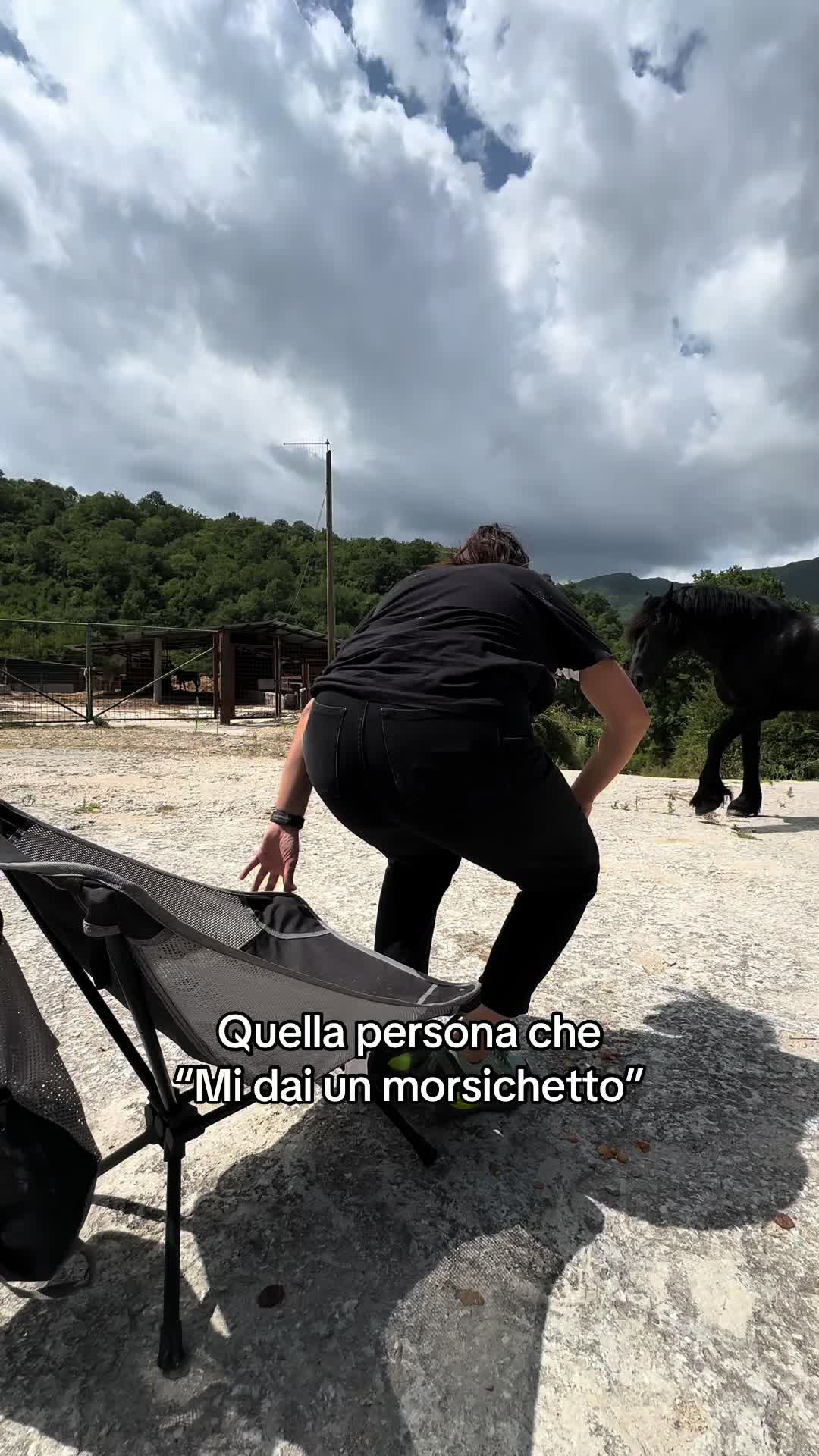 @black_the_friesian