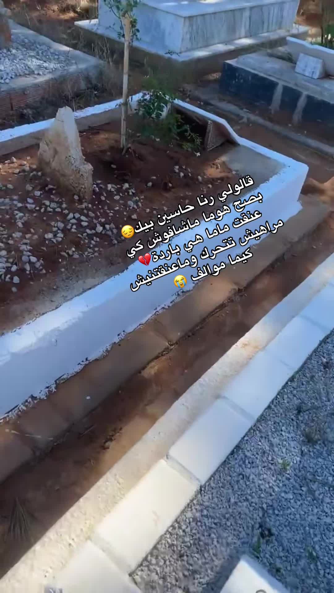 @💍Méfiant💖