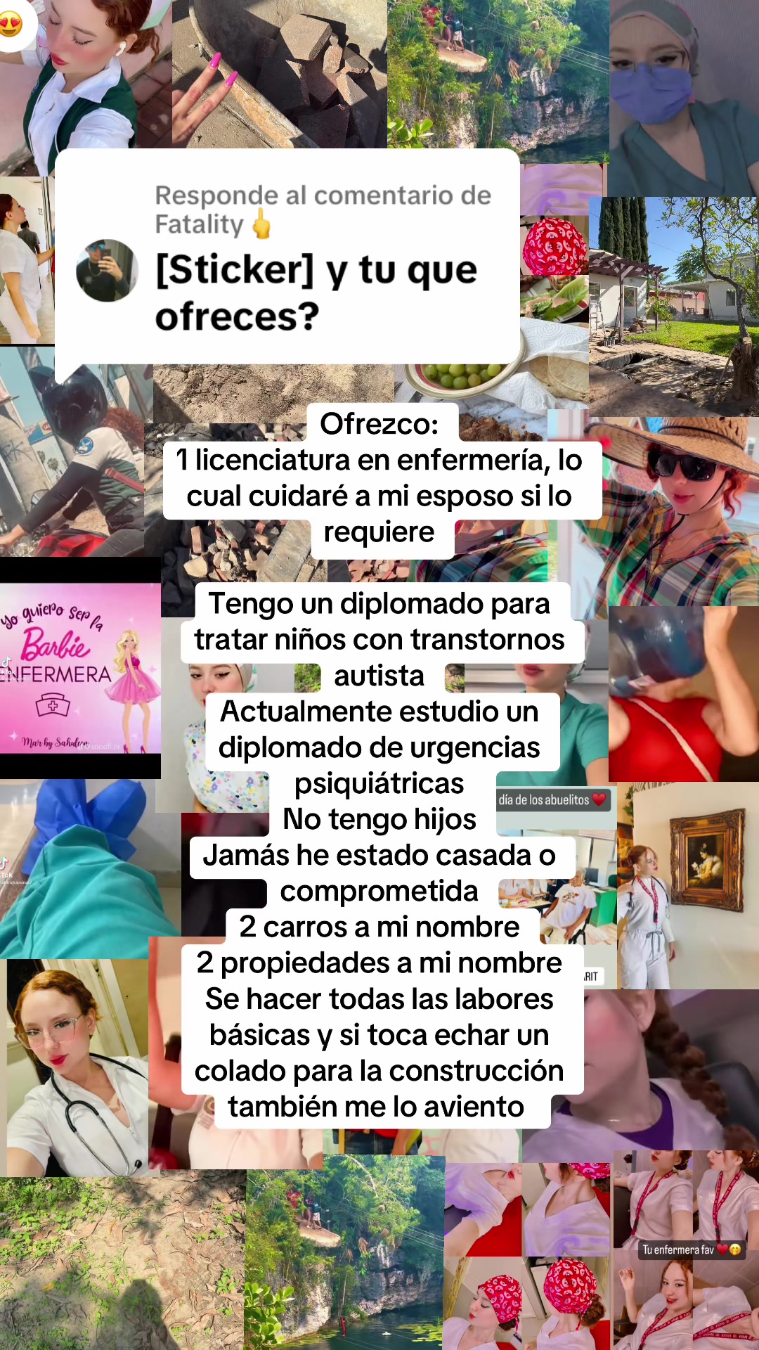 @lapelirroja87