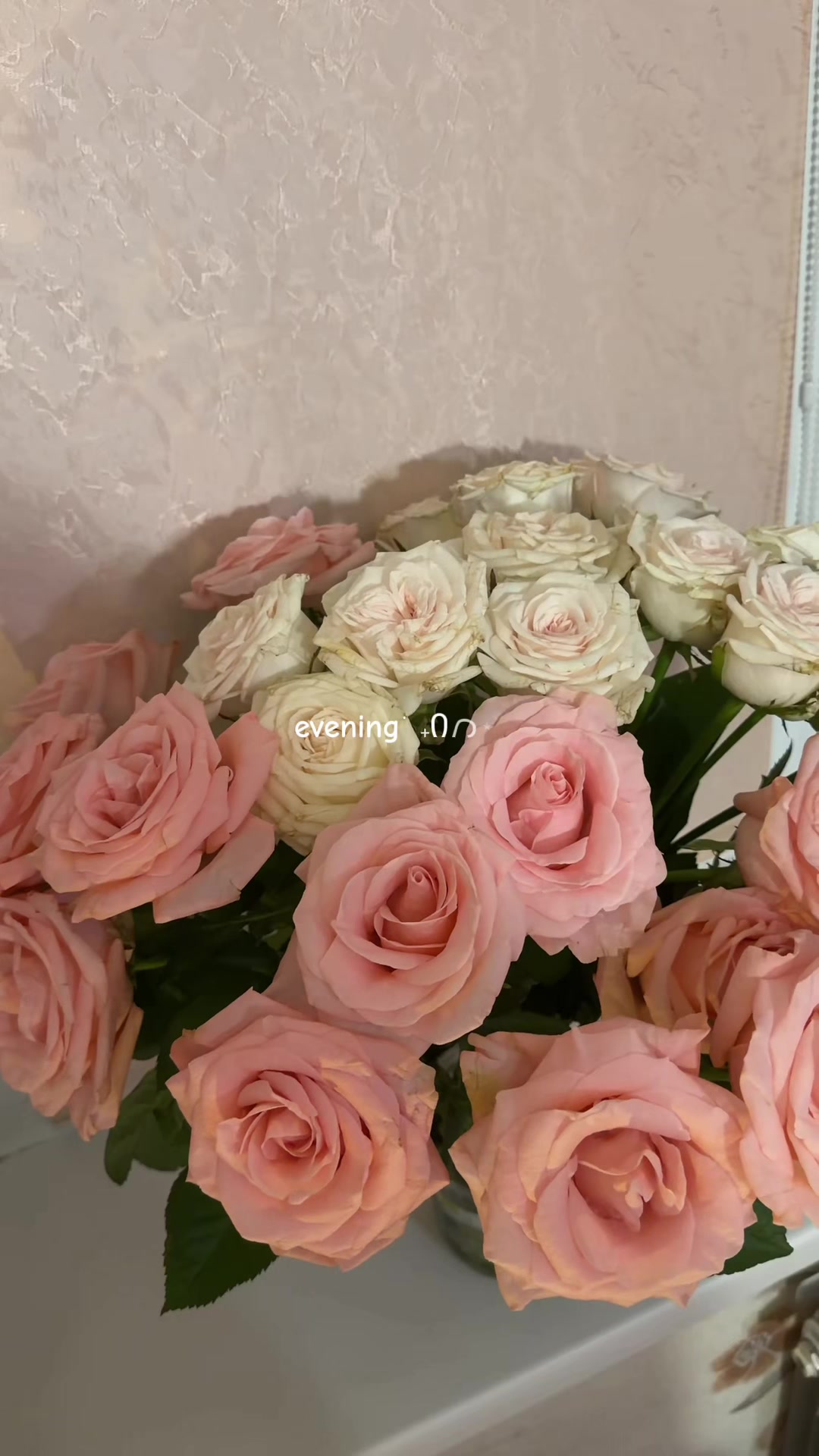 @𖾕𖾝꙼ᩚ𛲕𖾟⋆˙kissie ⋆. 𐙚 ˚