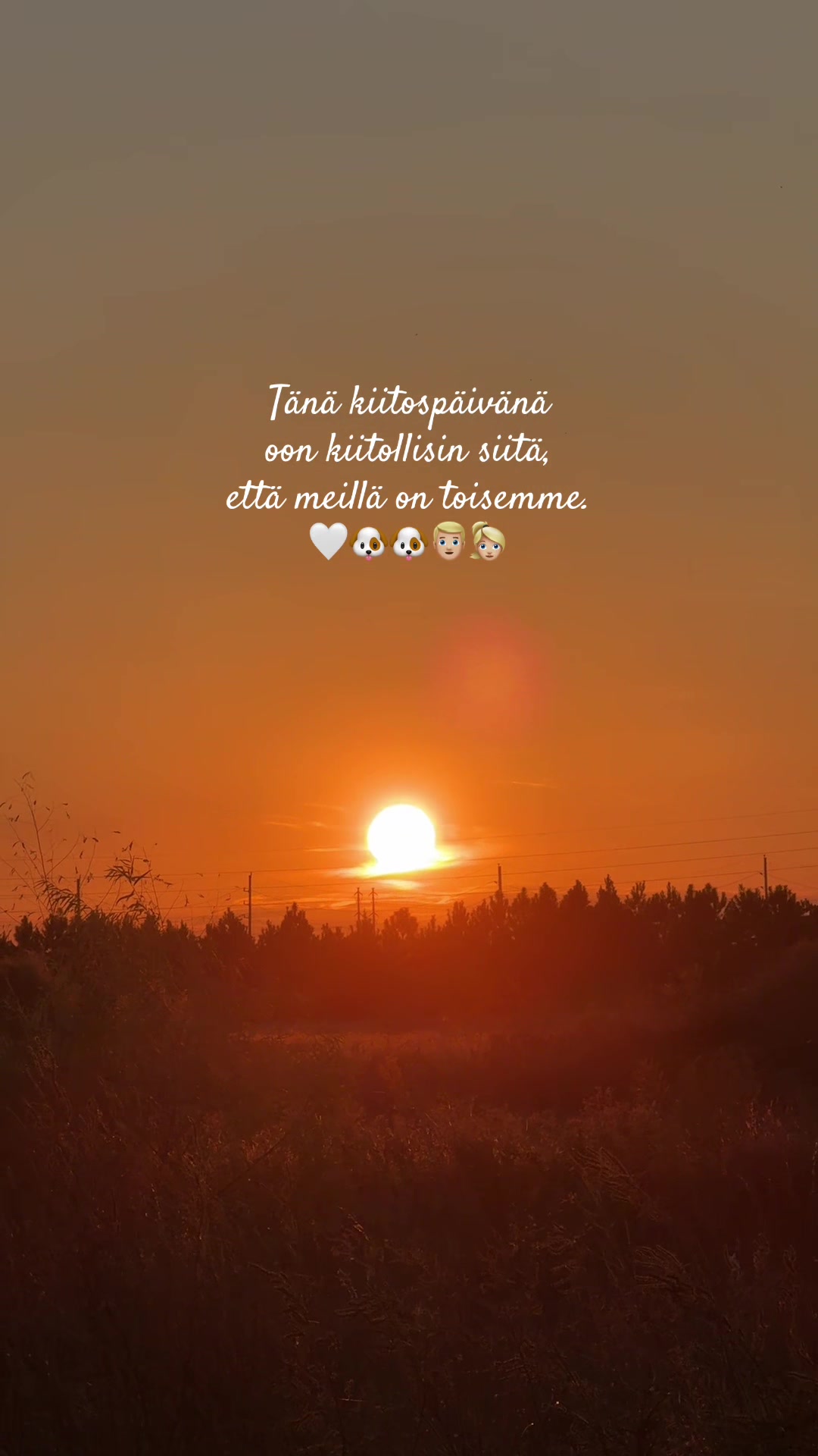 @siljacecilia