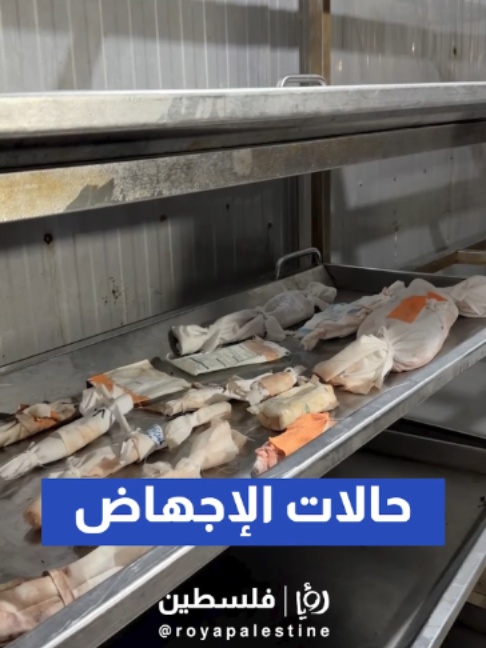 @Royapalestine رؤيا فلسطين