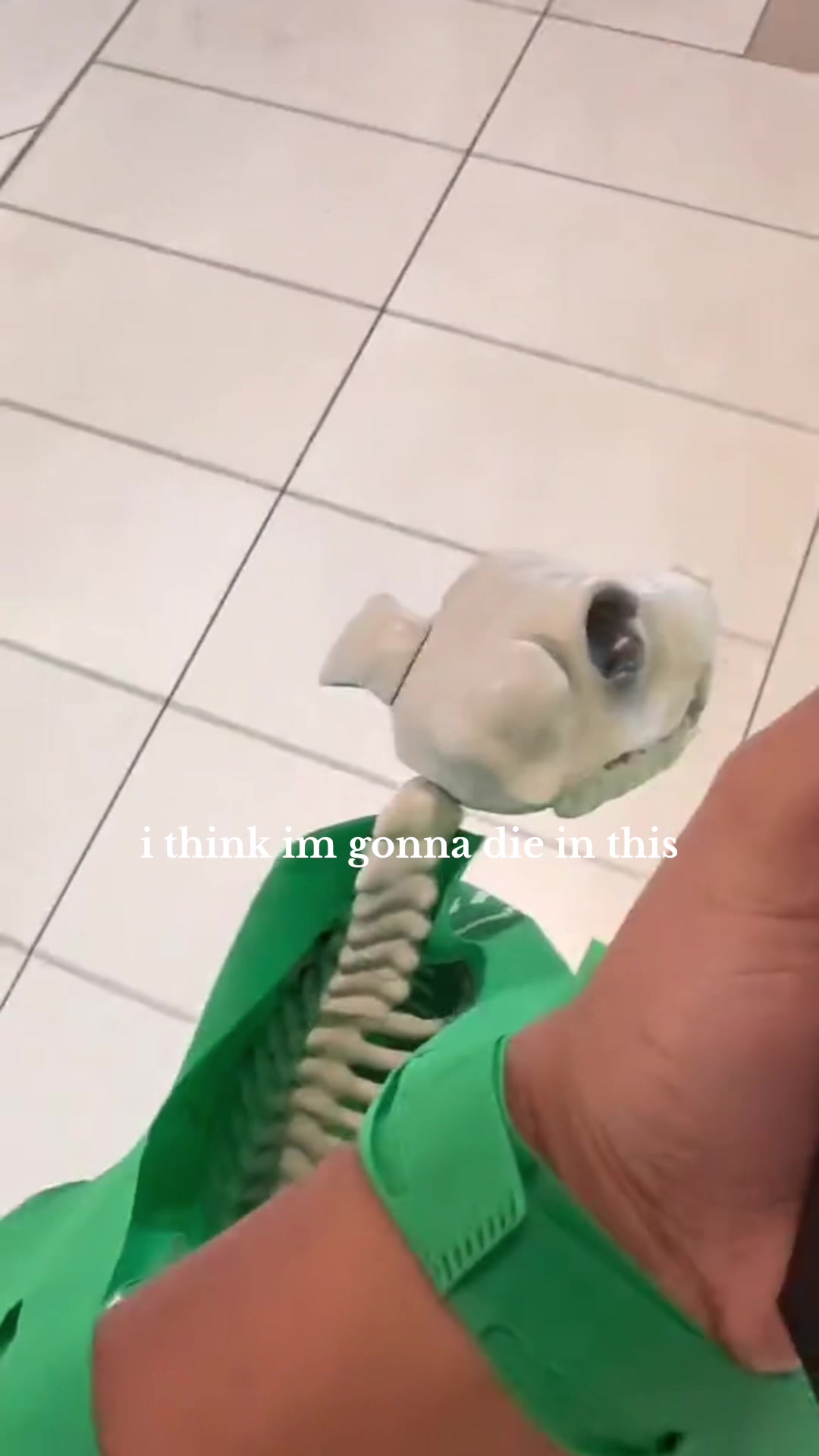 @beabinky