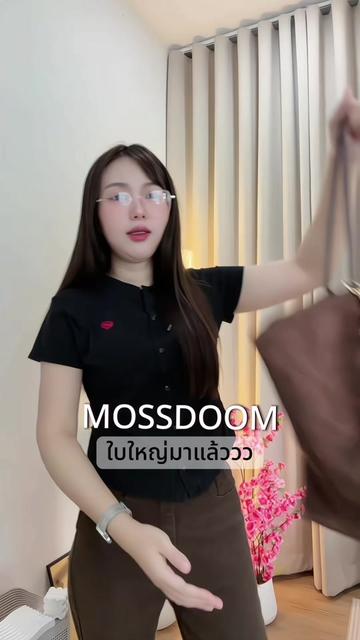 @วิสา ช่องหลัก