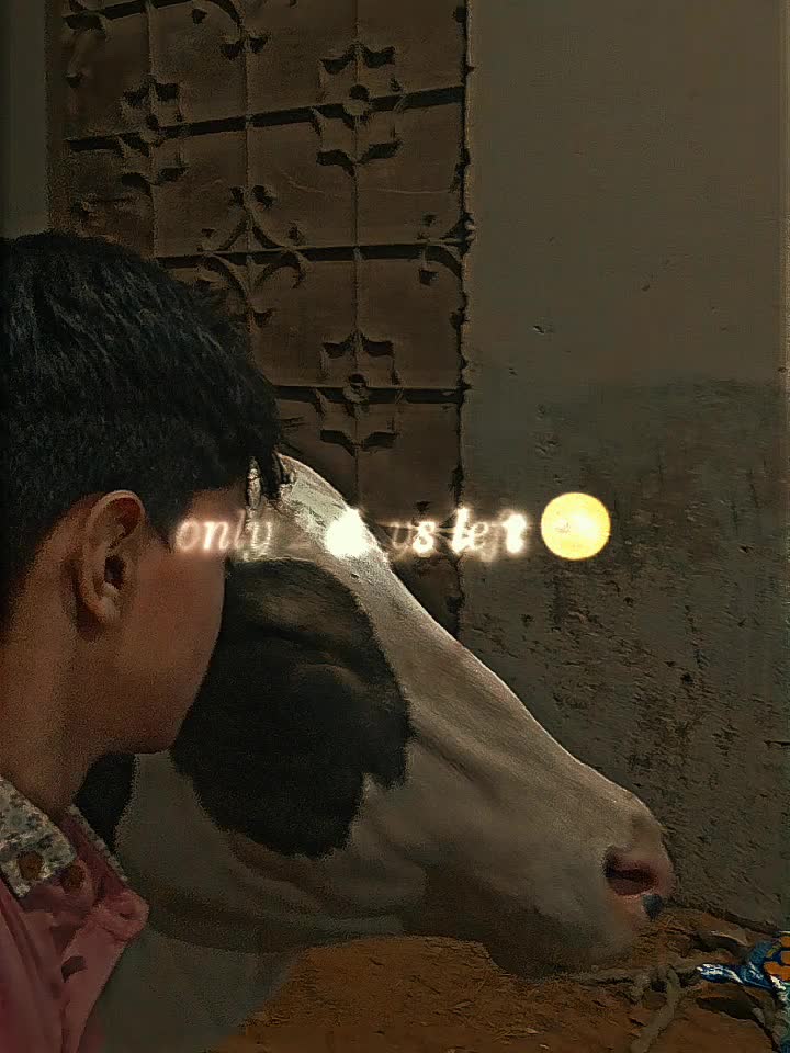 @DANIYAL🚩