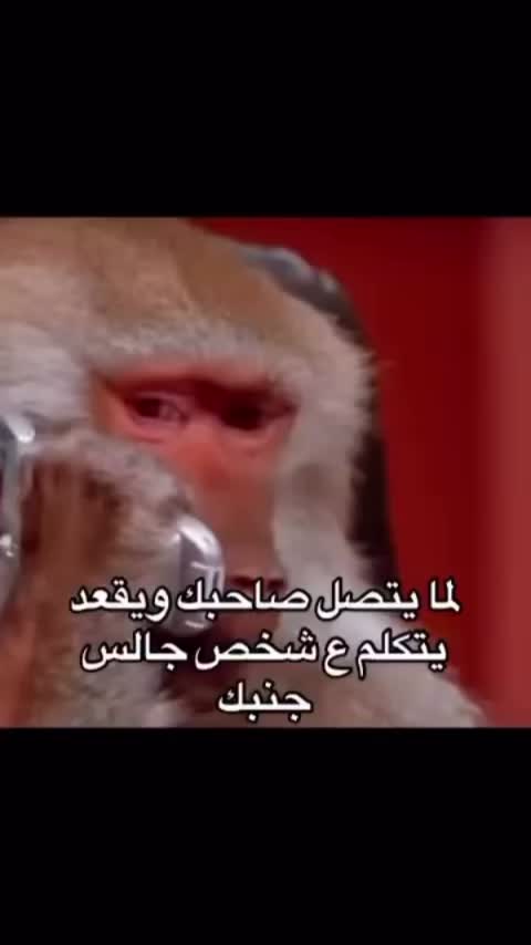 @لِنشر السعادة"🦦