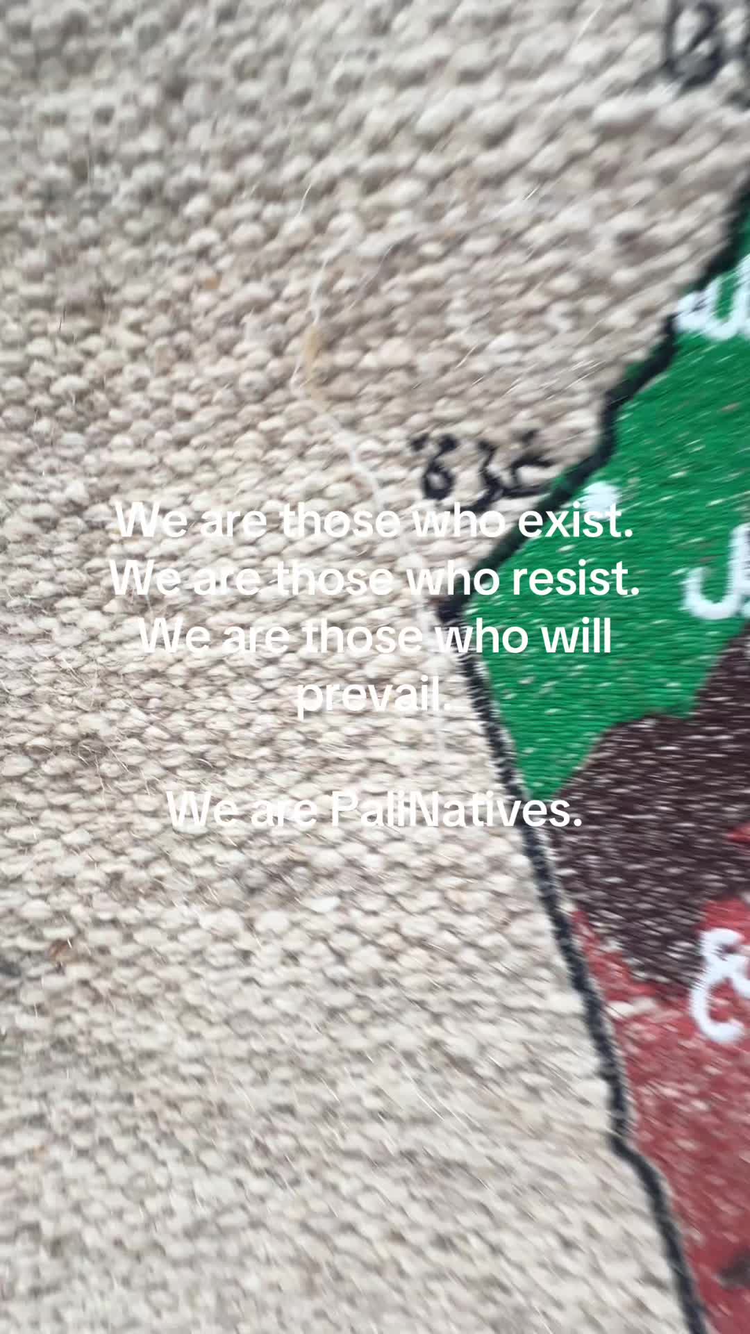 @palinatives