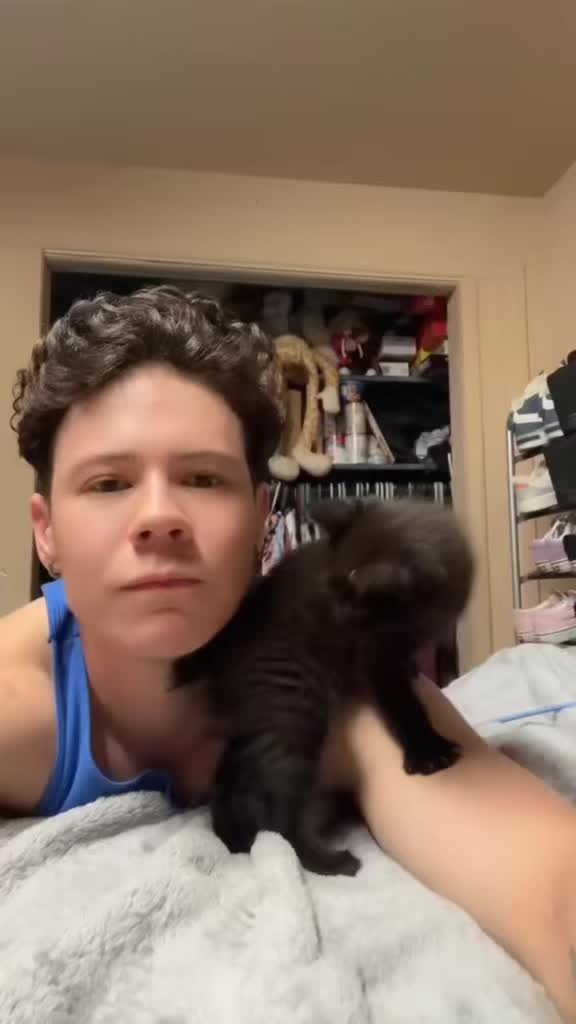 @kodi_1517