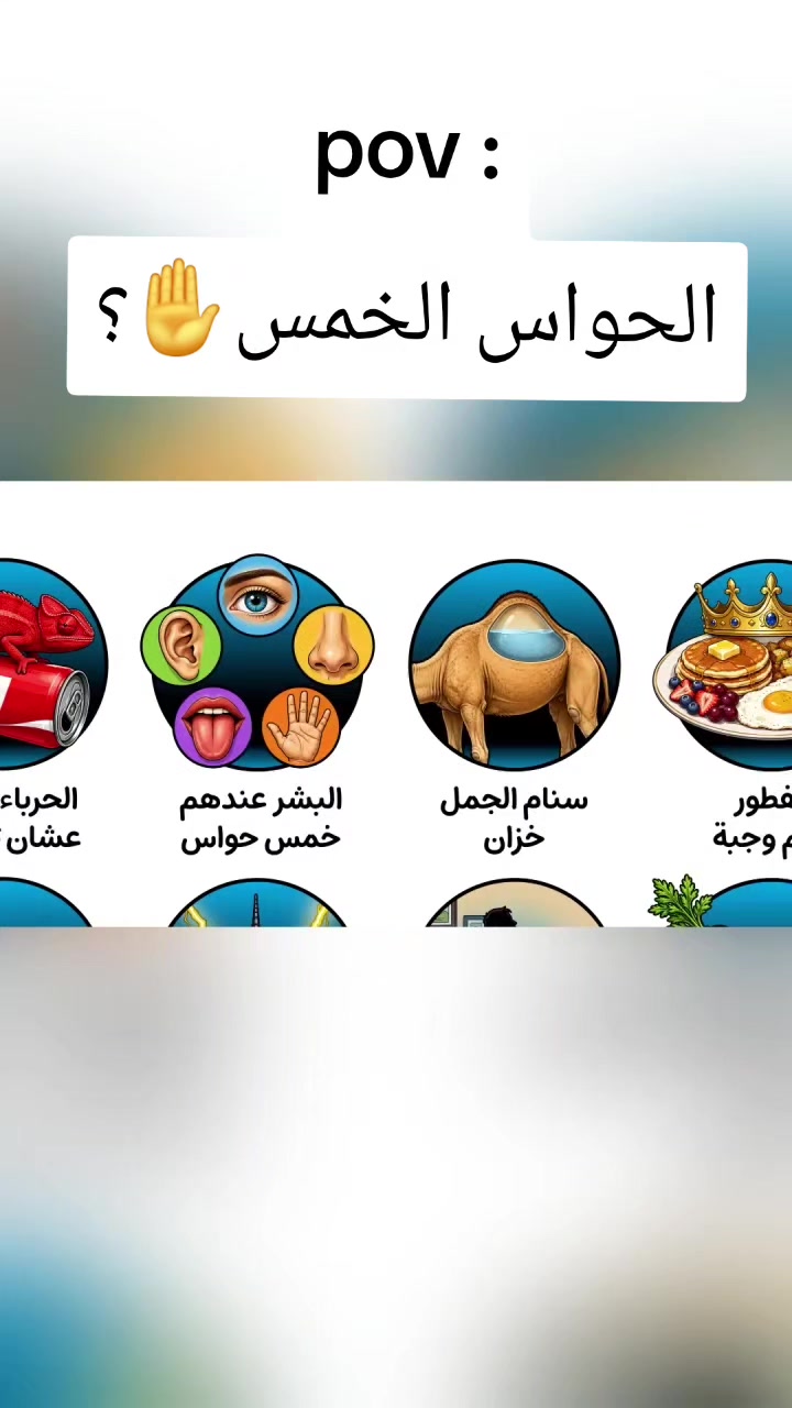 @🇸🇦Abdulaziz