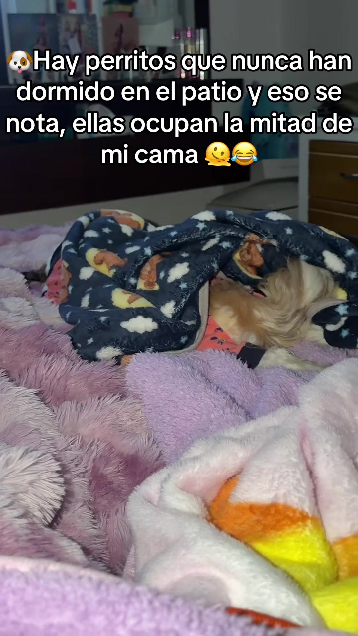 @Sandra Romero