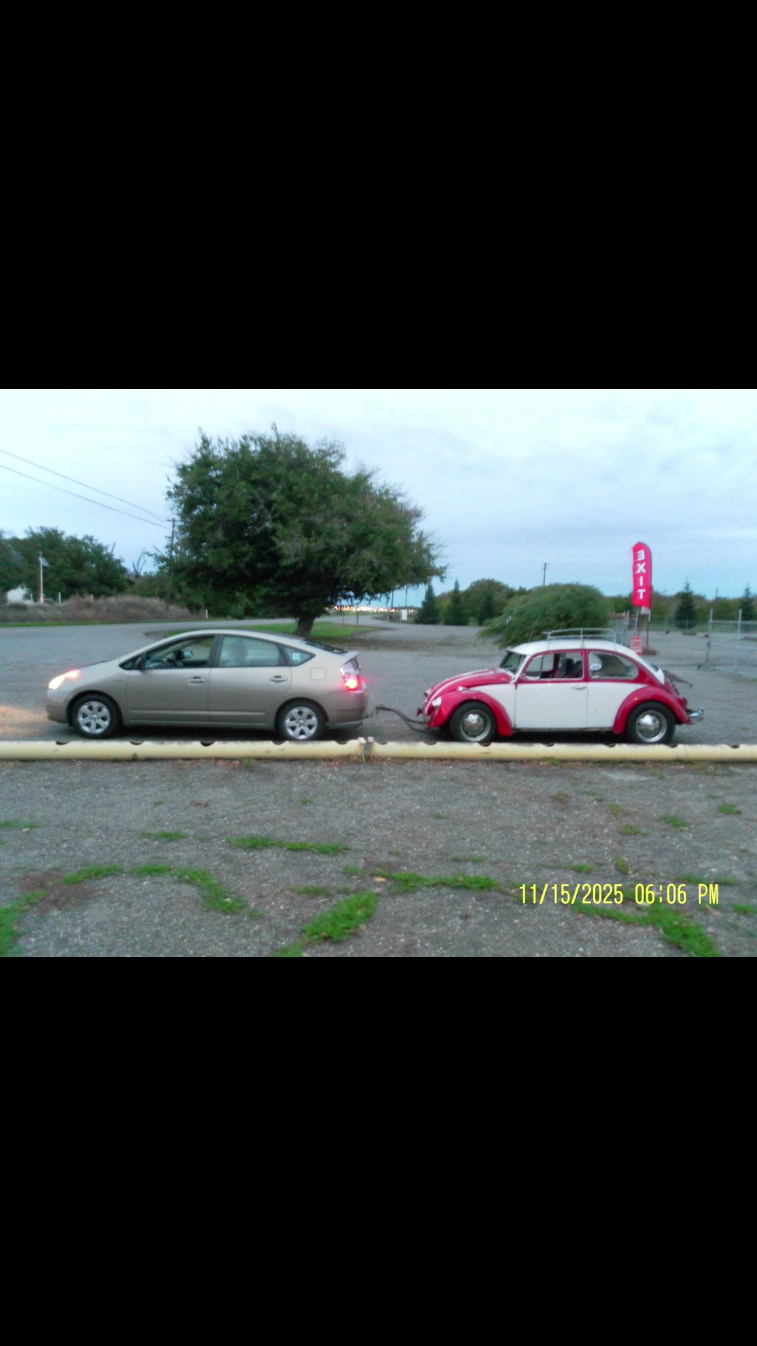 @🐞BUGNOUT 🚘