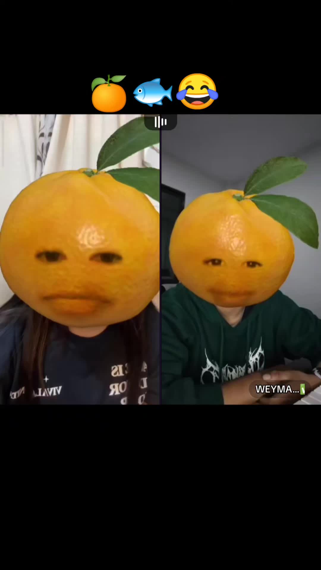@Maira_Eliza🍊⭐