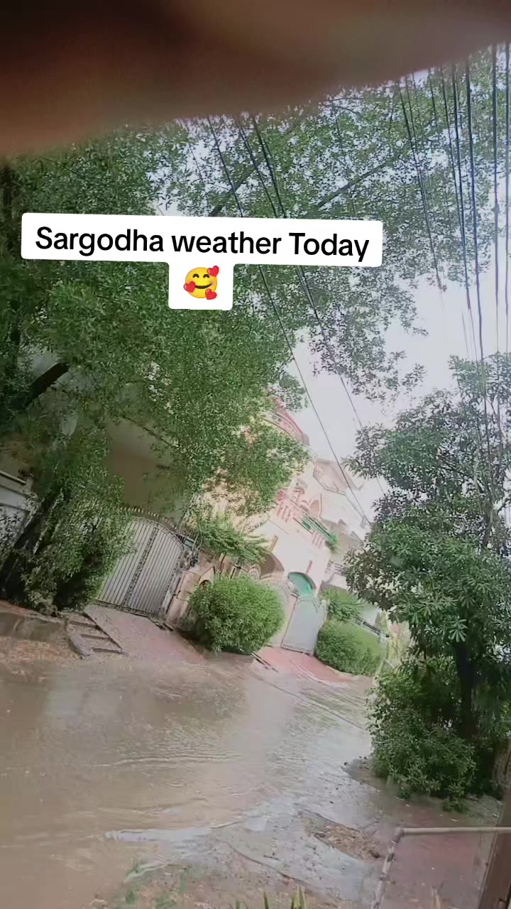 @Arslangii