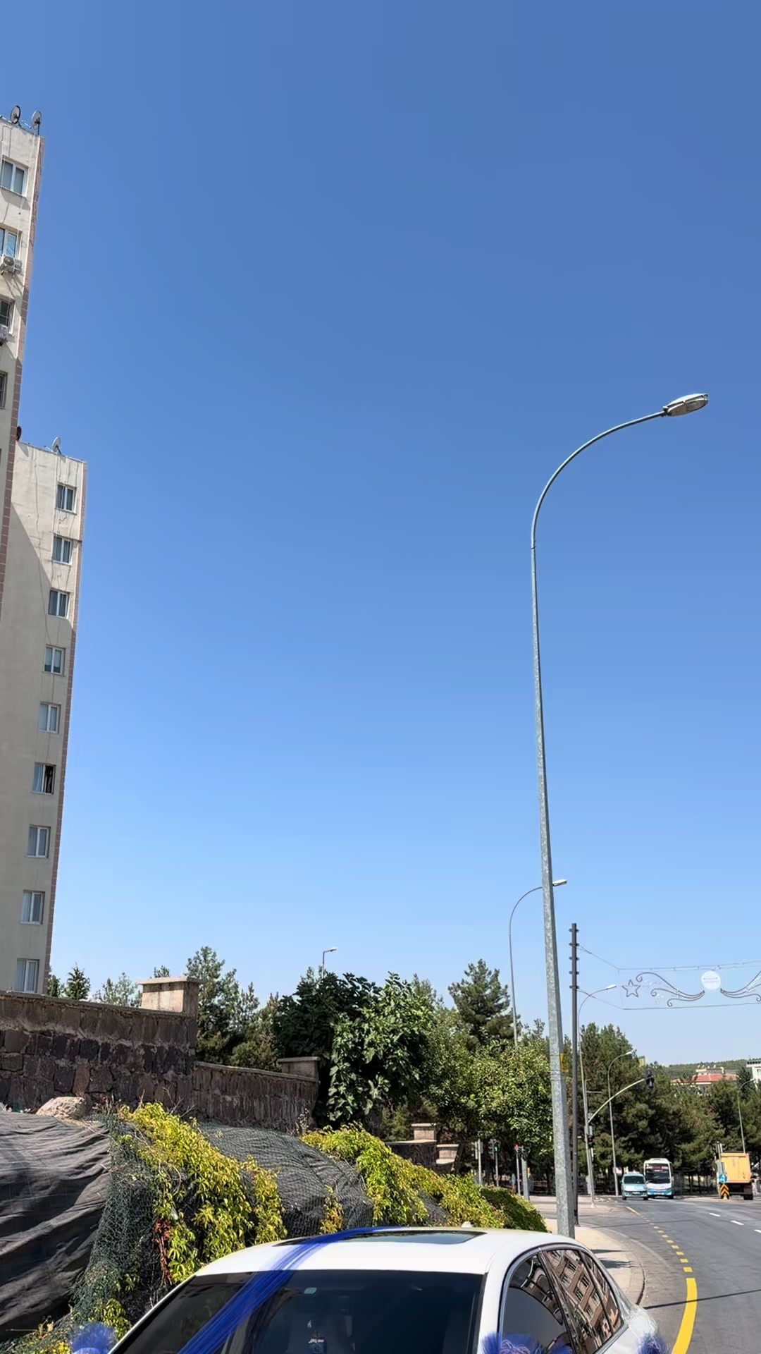 @Muratcan Gündoğdu