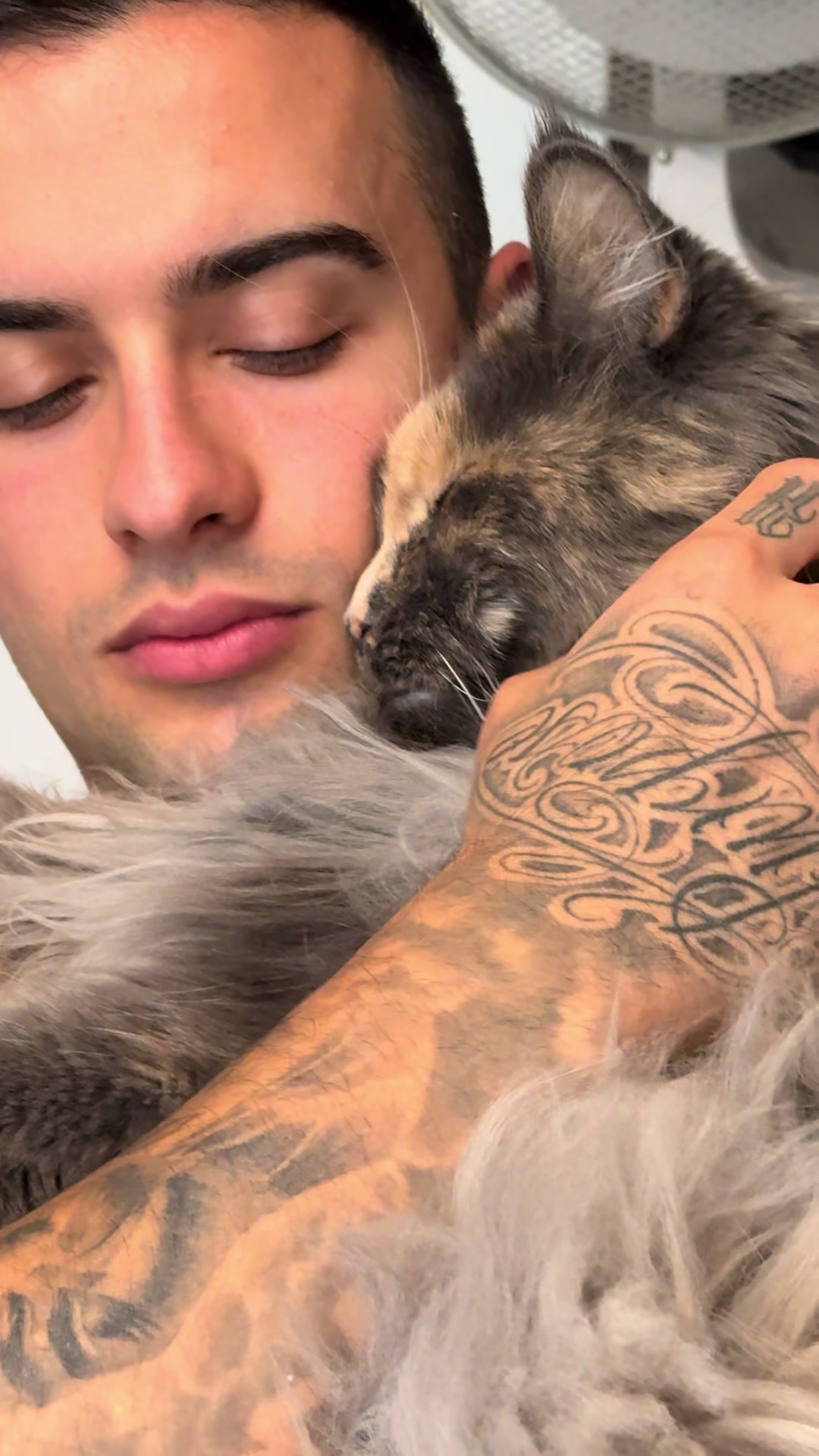 @Mike e Mendy Maine Coon