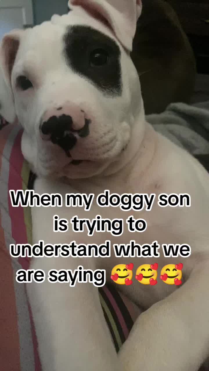 @ladybugg$$