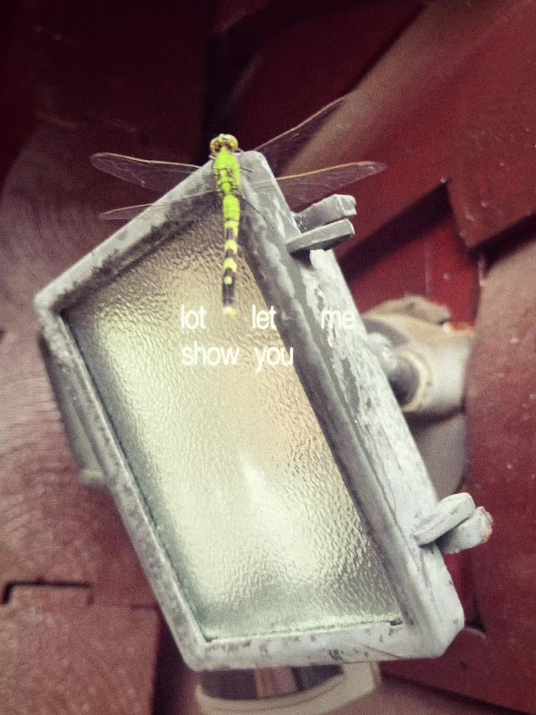 @ghost girl