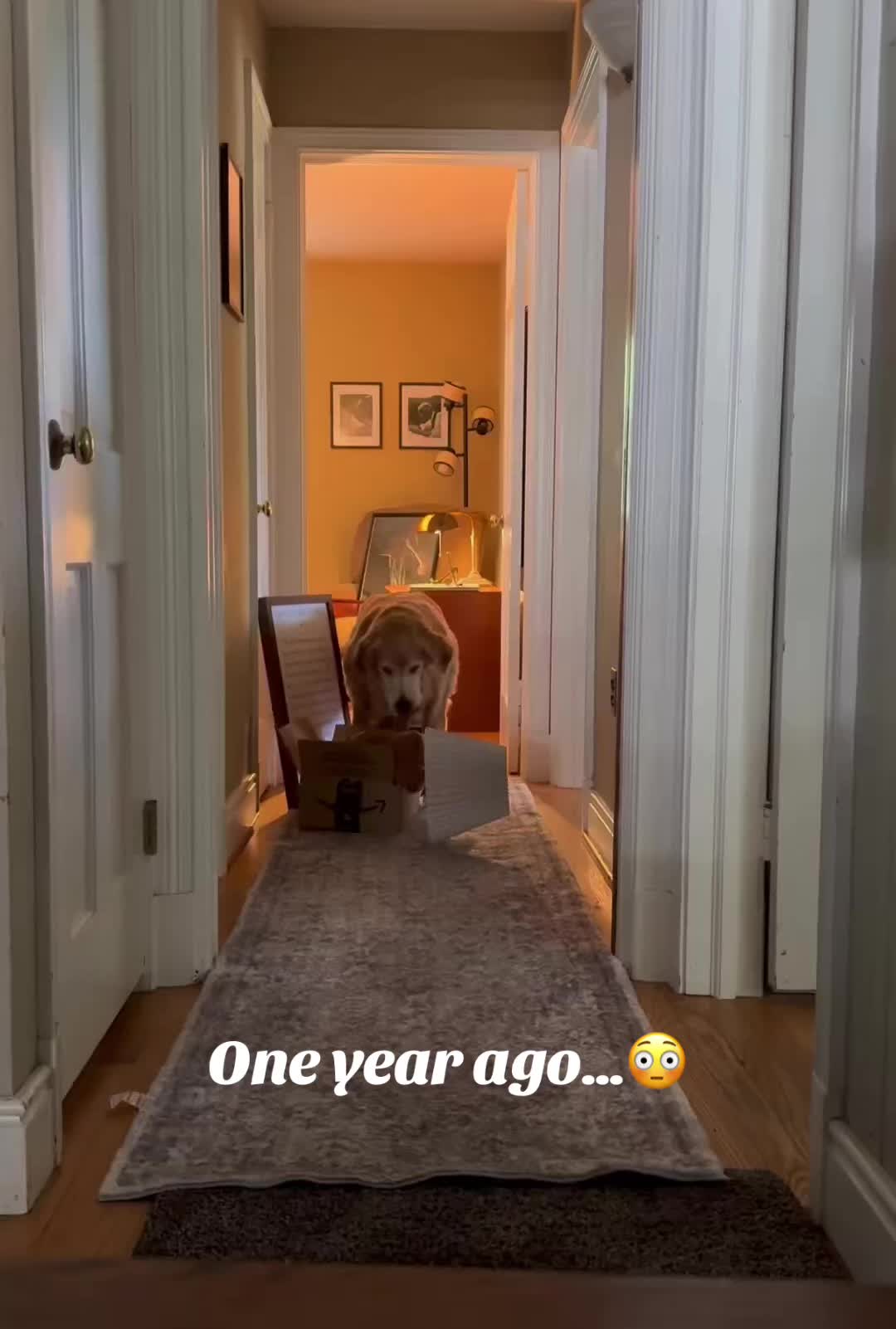 @lifewithduke2025