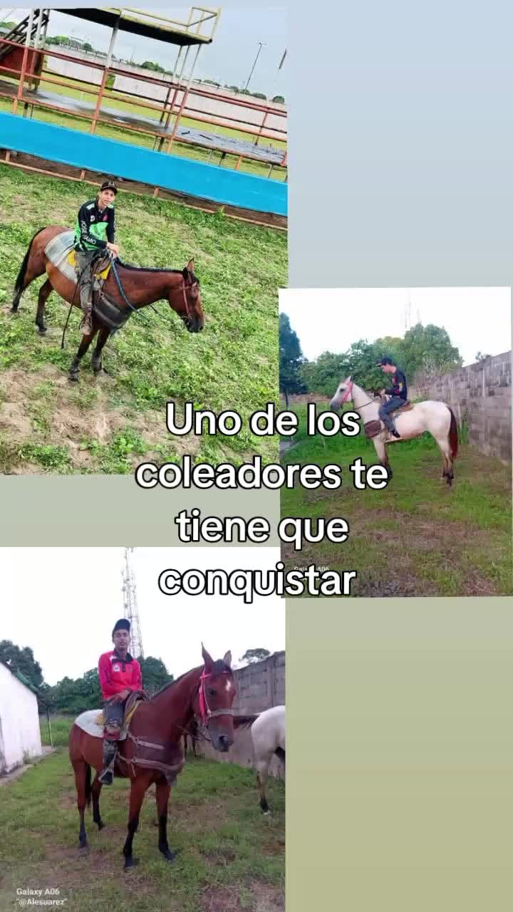 @JOS&Eacute; DAVID