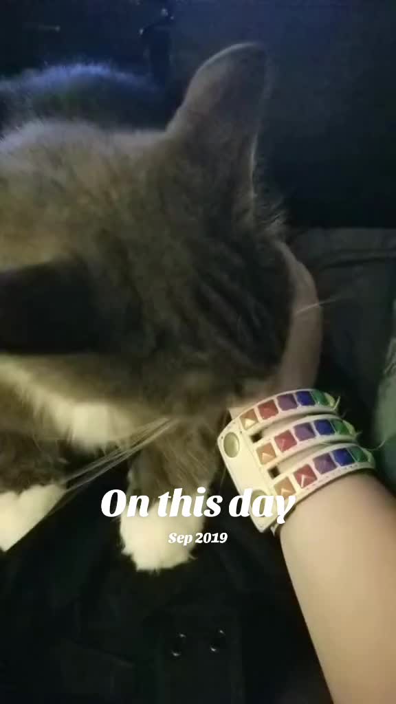 @Prizrak