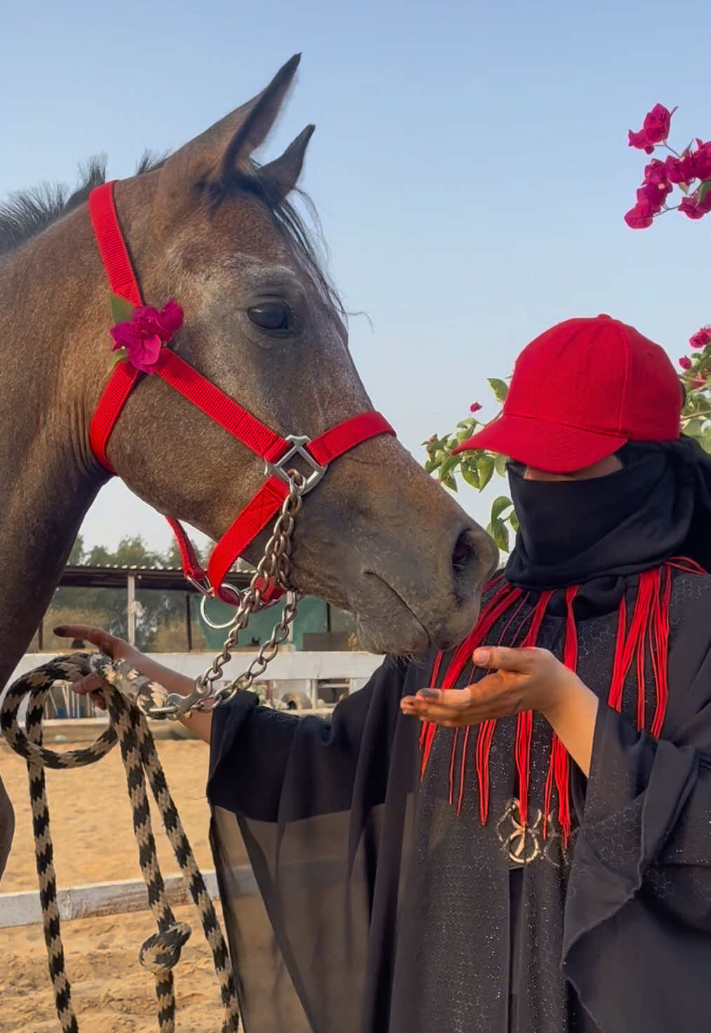 @الفارسِه المُلثمة | 1439