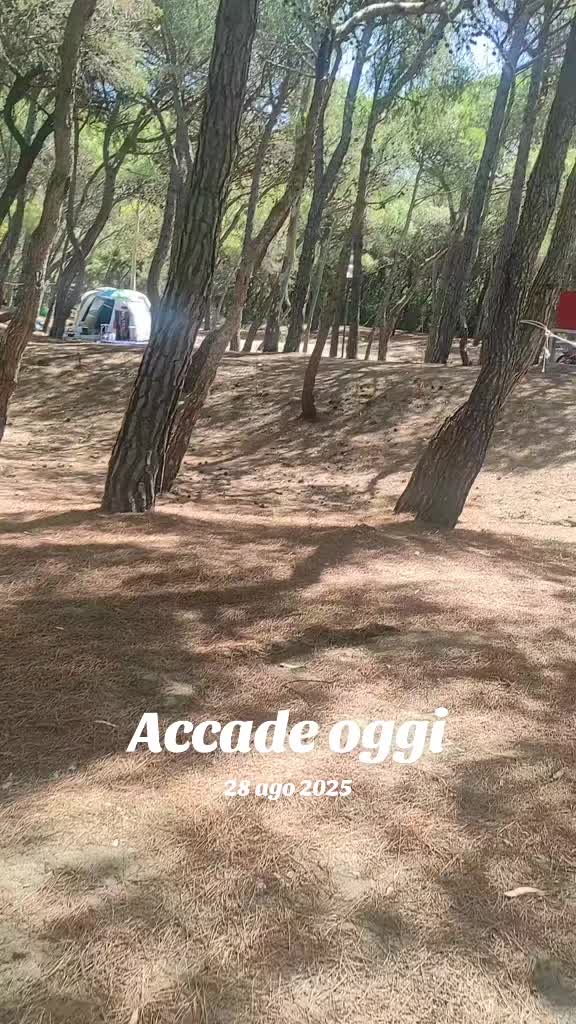 @tarante' (Zulema) ❤️🔥
