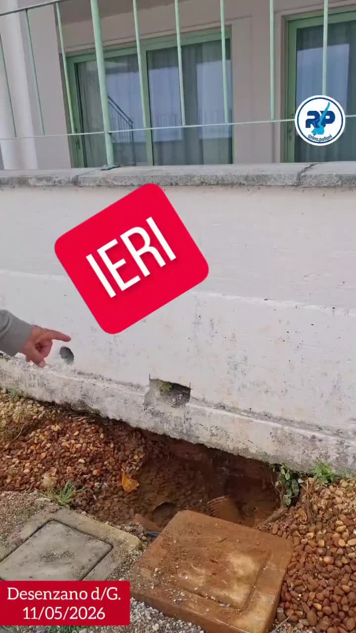 @rinopolloni