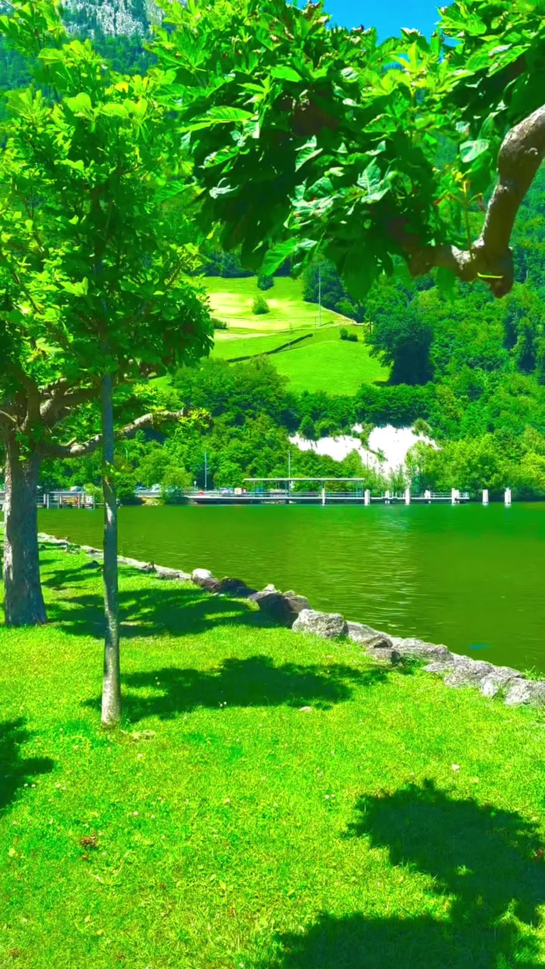 @S̳w̳i̳s̳s̳🇨🇭s̳c̳h̳w̳e̳i̳z̳
