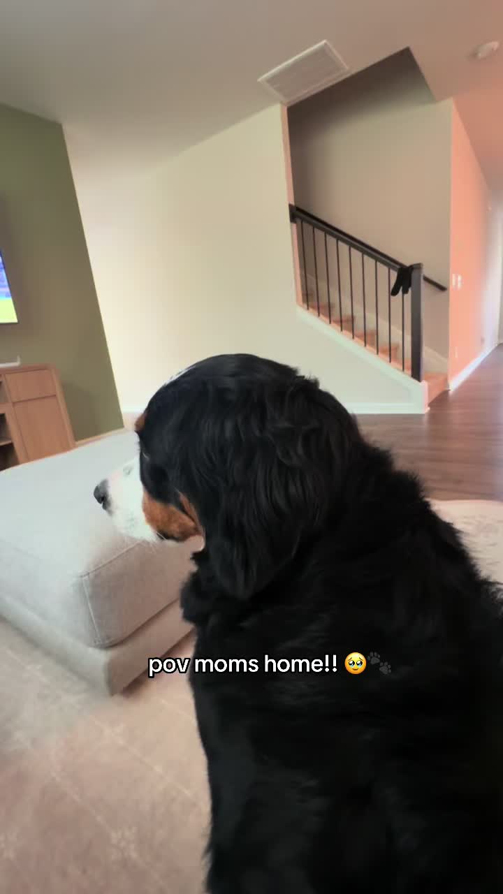 @Clover + her mom!