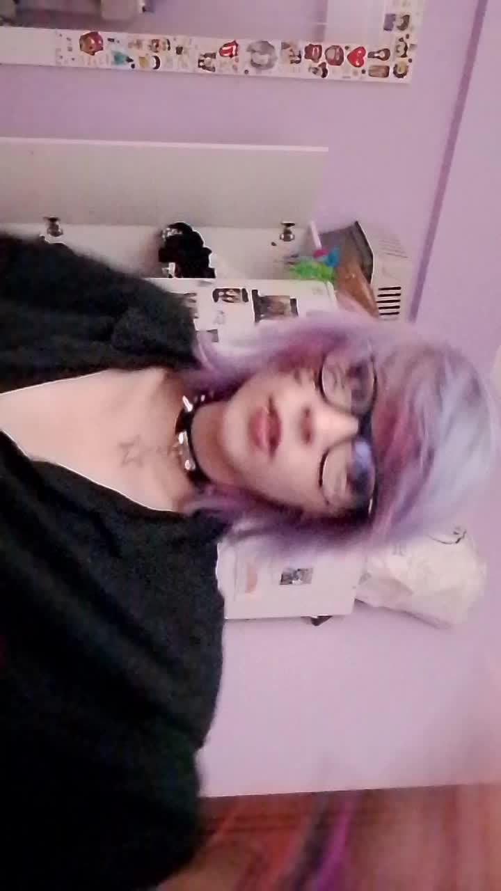 @the_last_meow