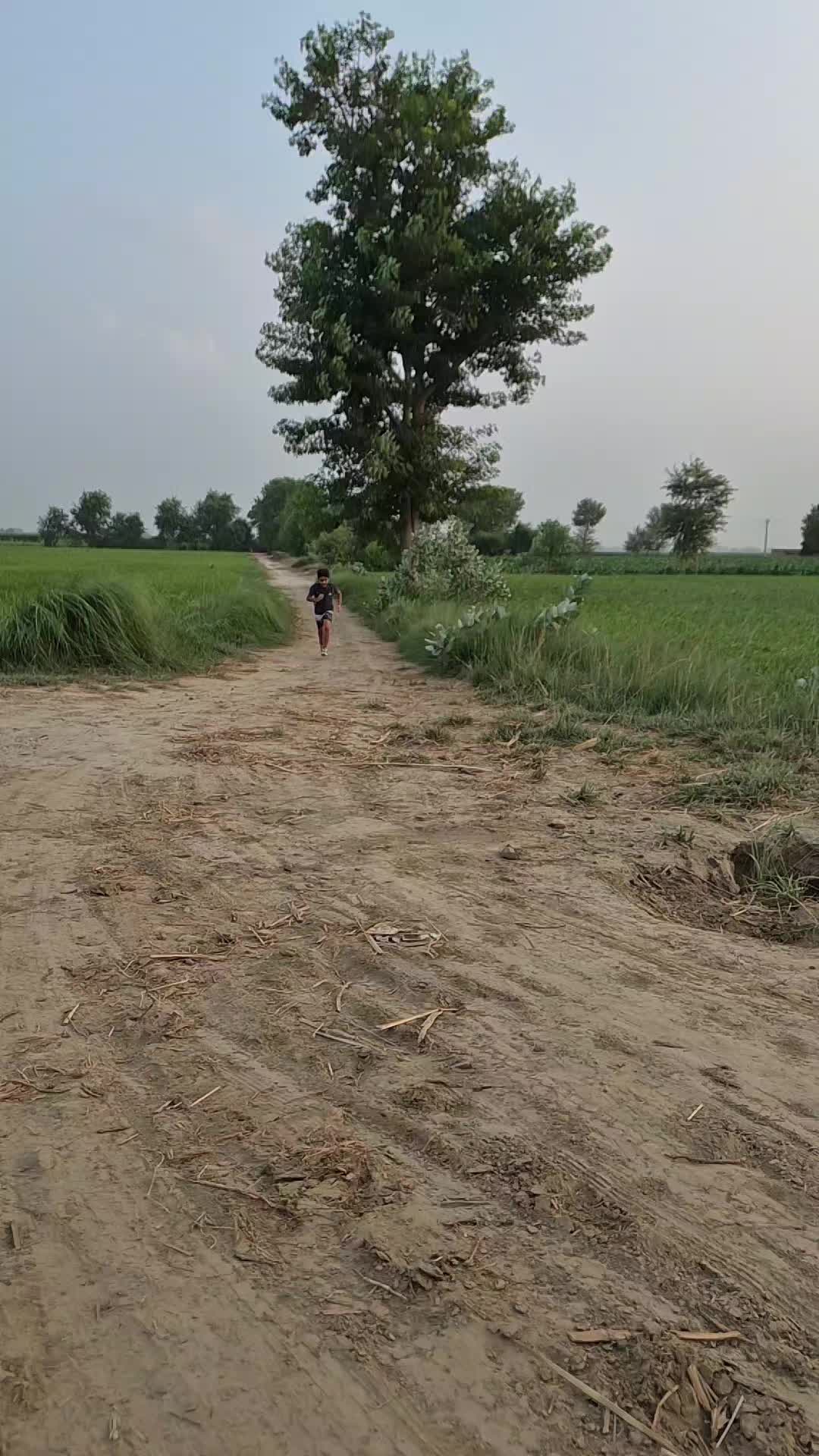 @nikajutt80