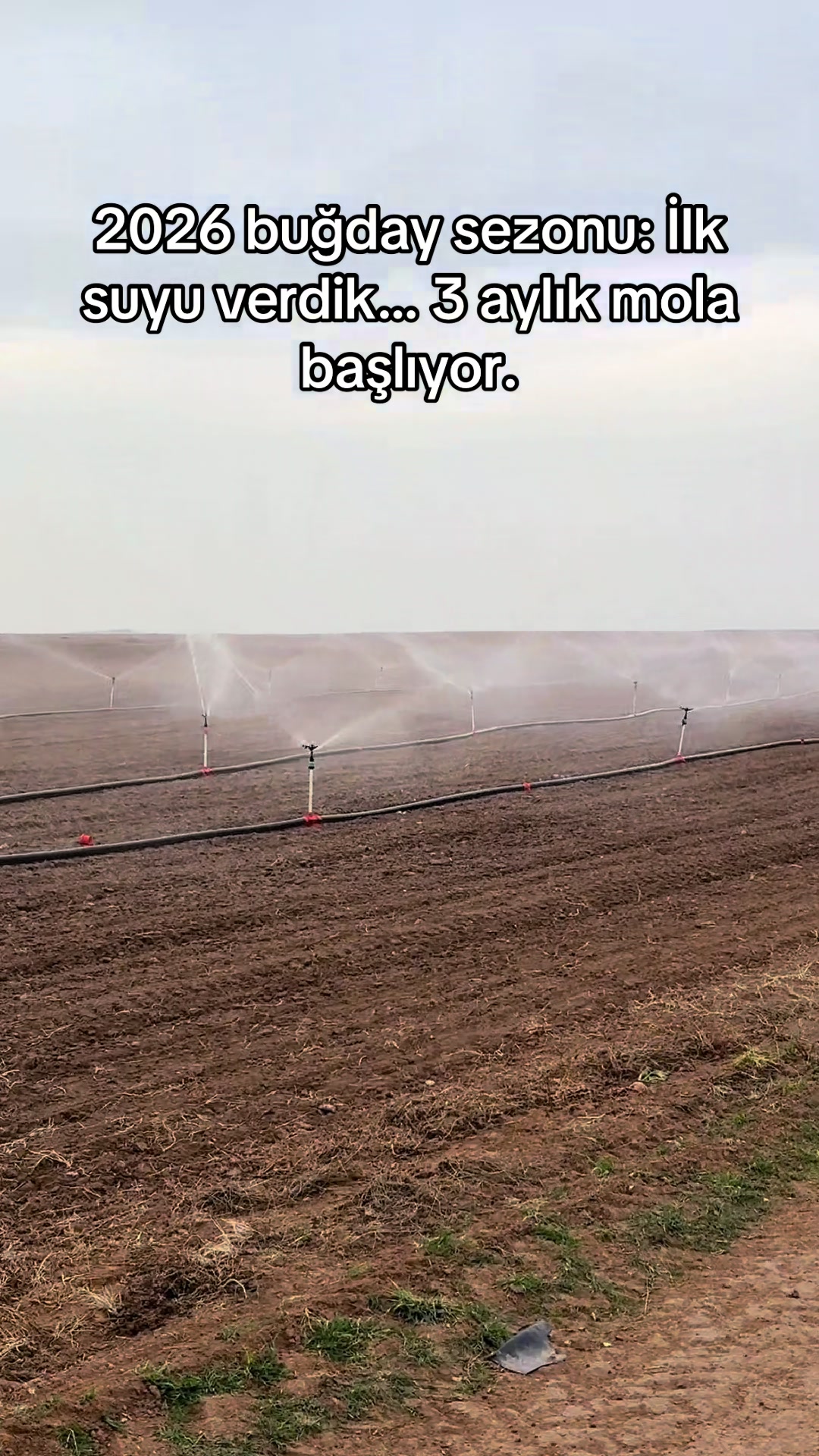 @İsmail EFE