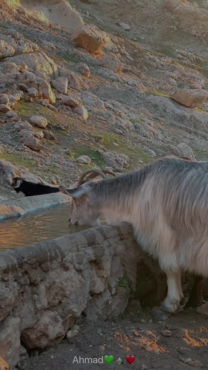@𝑨𝒉𝒎𝒂𝒅_𝒂𝒌𝒓𝒆𝒚𝒊👑