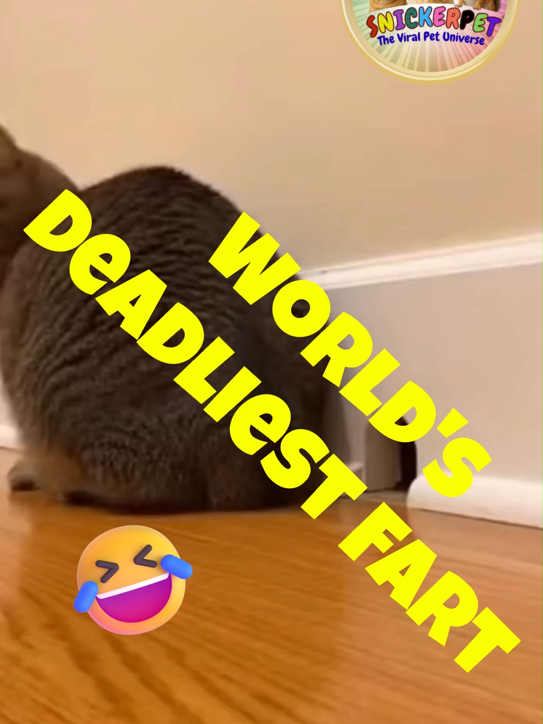 @Snickerpet