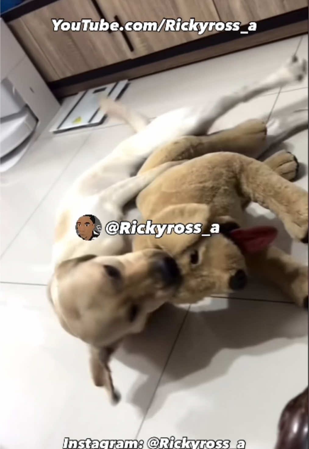 @Rickyross_a