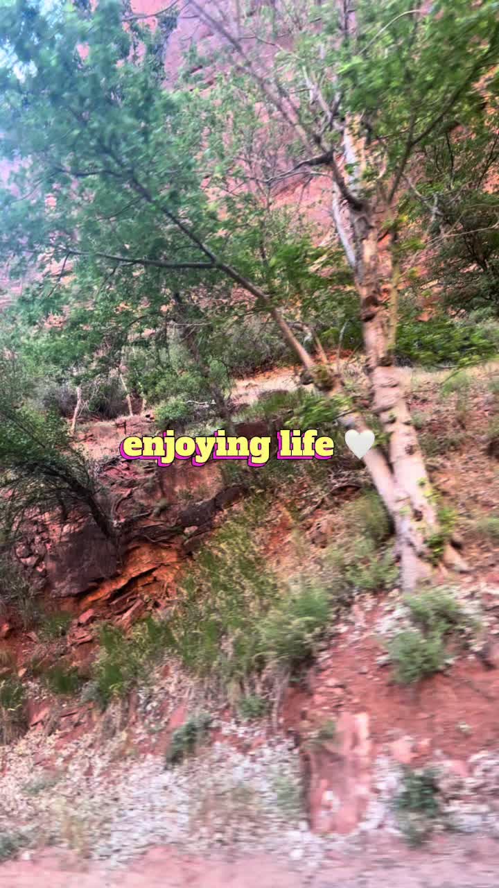 @Shayla 🌸🌺🌼