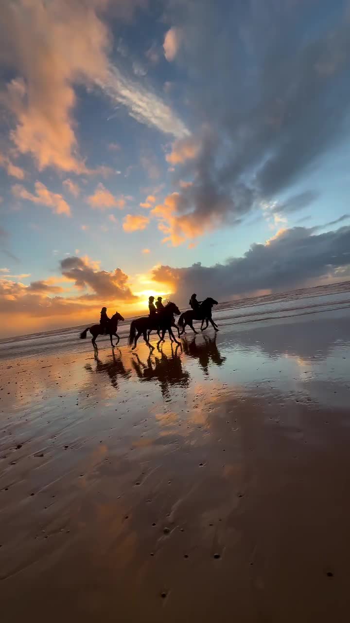@ThunderGallops
