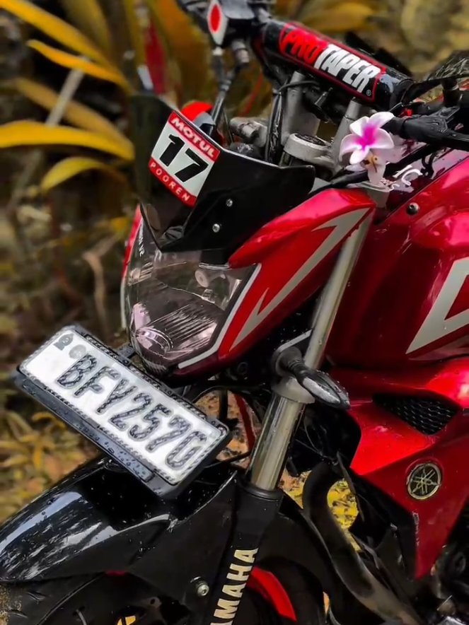@H_M BIKE's 🐊🔥🖤