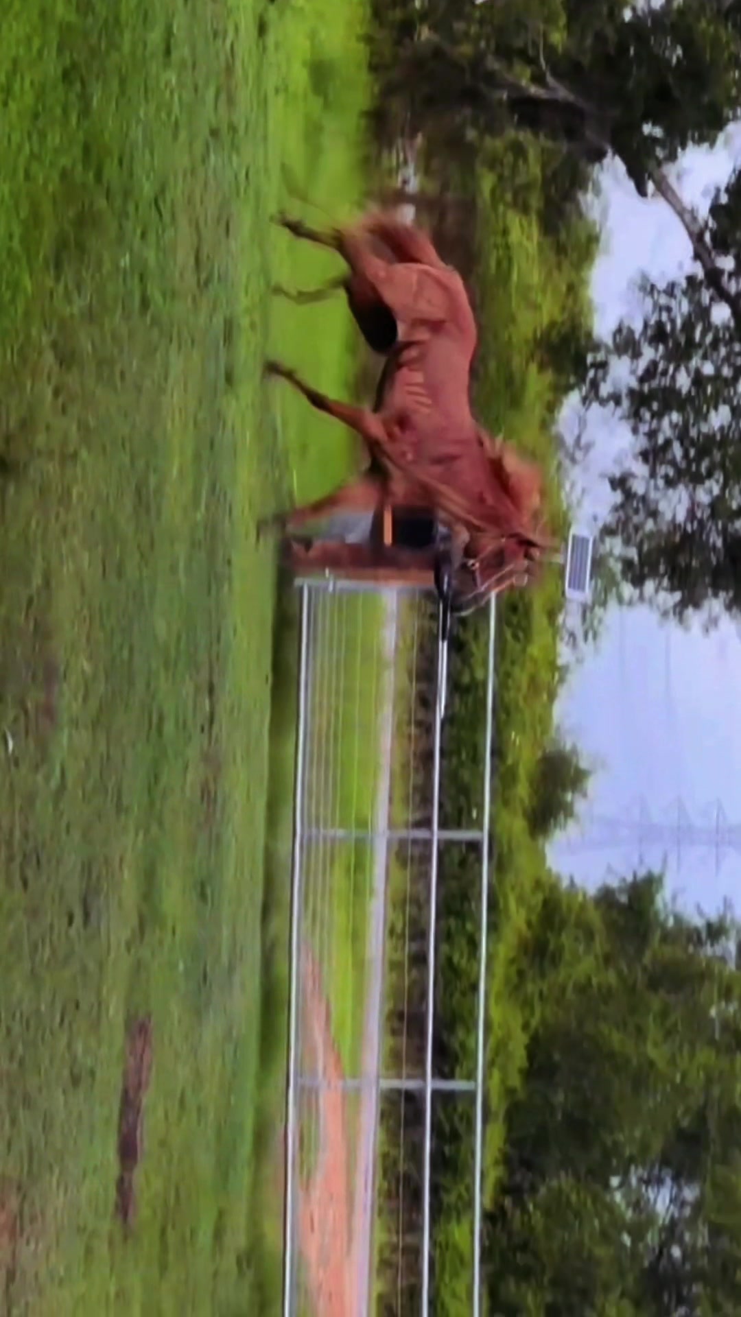 @ℒℯ𝓍𝒾𝒾𝒾𝒾 𝒟𝒶𝓌𝓃