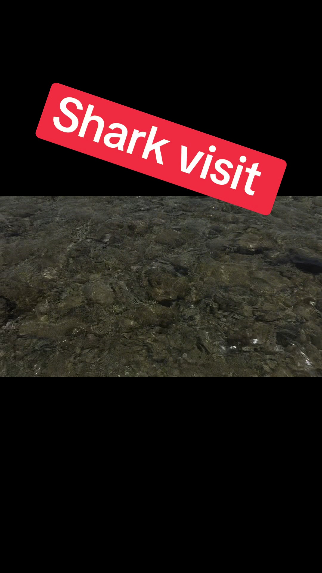@Chris Partyka
