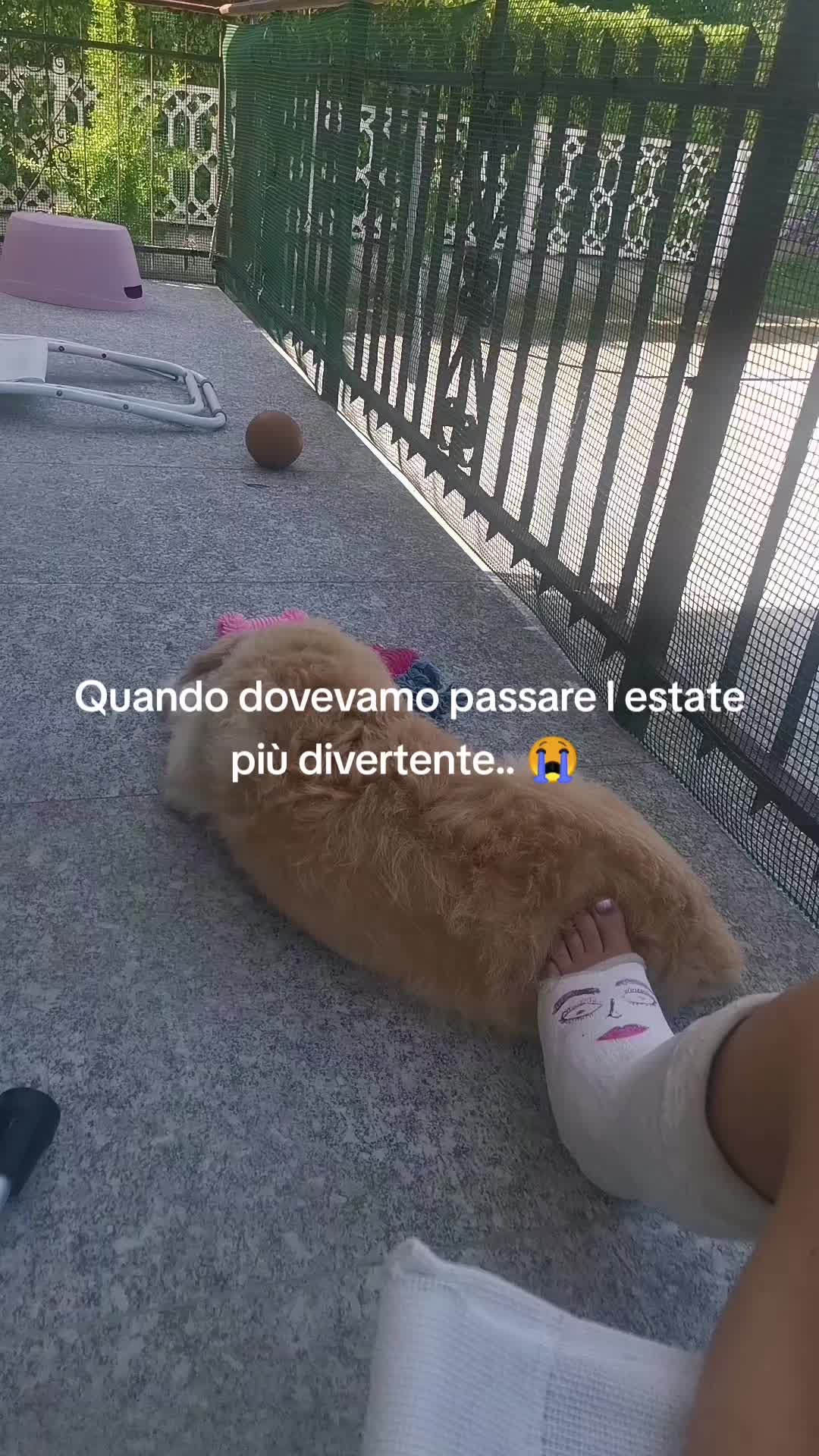 @Monia 🌹