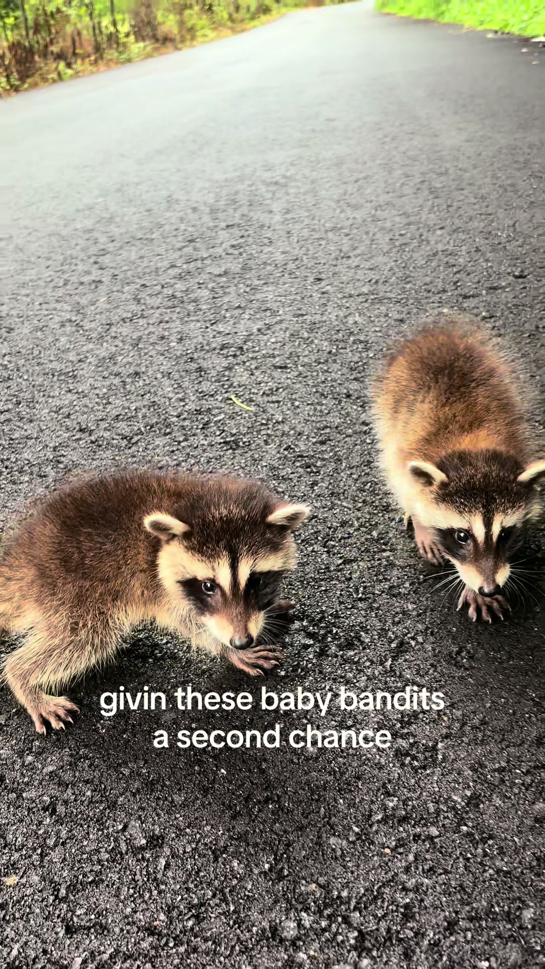 @okcrawdaddy
