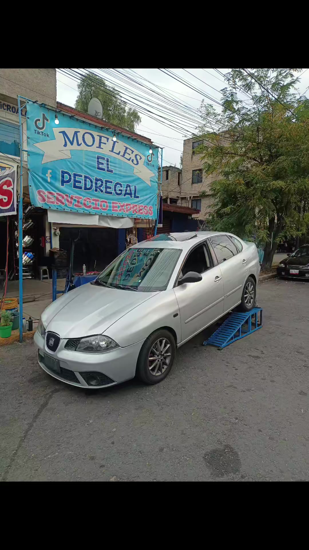 @Mofleselpedregal_1