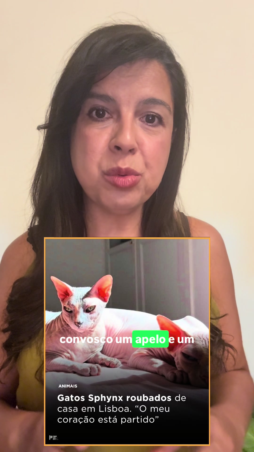 @Inês Sousa Real