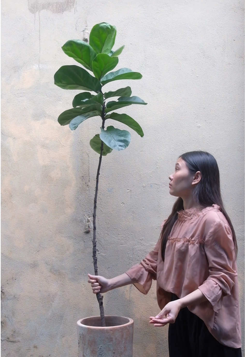 @Treeliti