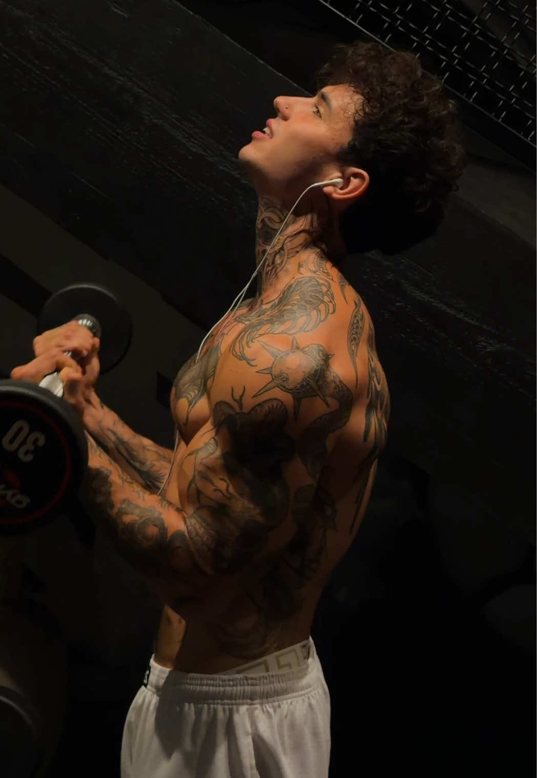 @Mattiabrescianini