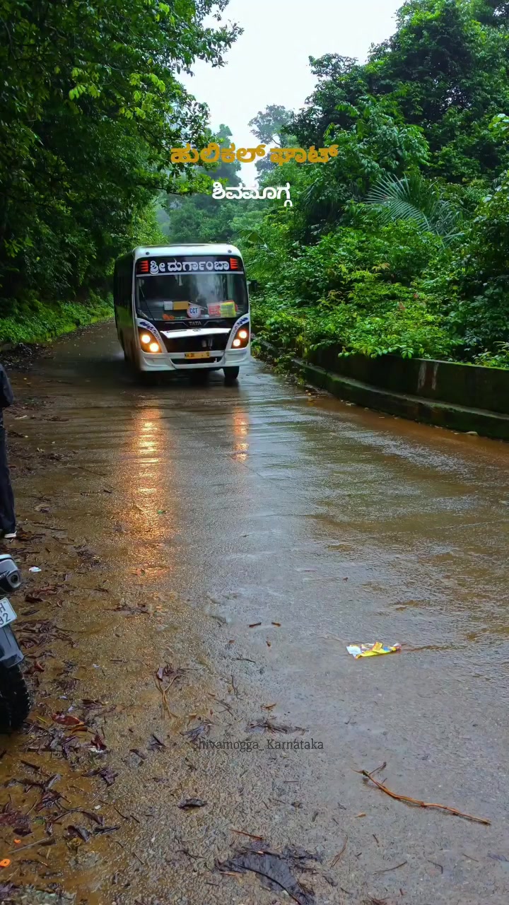 @●ಮಲ್ನಾಡ್ ಹುಡ್ಗ●