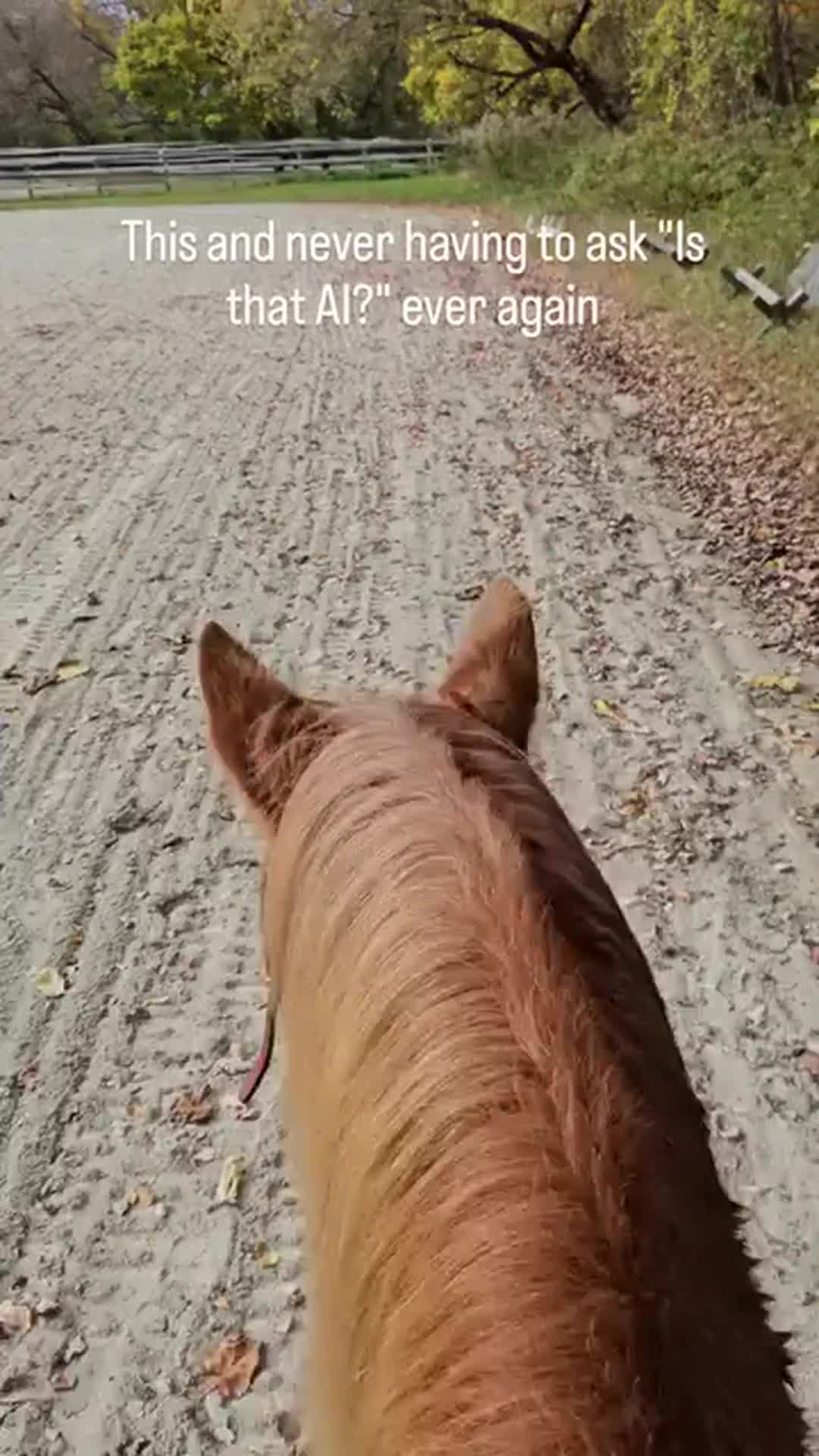 @Beth - Epona Media